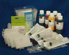 REFILL KIT FOR 6 COLOR EPSON PRINTERS - KIT CONTAINS ACCESSORIES EMPTY CARTRIDGES, 2oz. INK SET AND SK168 CHIP RESETER